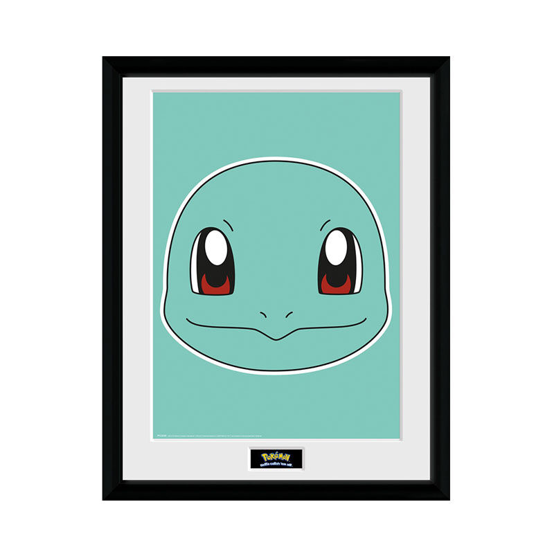 Pokemon Schiggy Gesicht - Bild